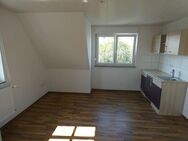 **1-Zimmer-Apartment ( DG links ) für Studenten - ab sofort** - Weidenbach (Bayern)