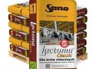 Premium Lactoma Classic Futter für Milchkühe 25 kg Sano - Wuppertal