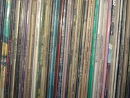 Vinyl Schallplatten Sammlung - Bargteheide Zentrum