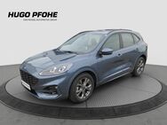 Ford Kuga, 2.0 ST-Line EcoBlue 88kW Automatik, Jahr 2023 - Oldenburg (Holstein)