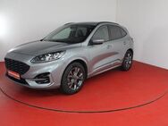 Ford Kuga ST-Line 2.0 AWD 297,-ohne Anzahlung Bang & - Horn-Bad Meinberg