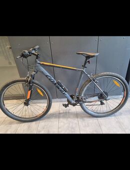 Conway Mountainbike 329 MS 29" - Hamburg