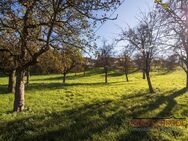 LEBEN IN DER NATUR! Spannendes Baugrundstück zu verkaufen Grundstück Nr. 3 - Hilzingen