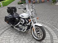 Harley Superlow 1200 T XL Version FMEDTO - Marktschellenberg