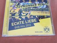 BVB Hits 2012    Echte Liebe - Kassel Brasselsberg