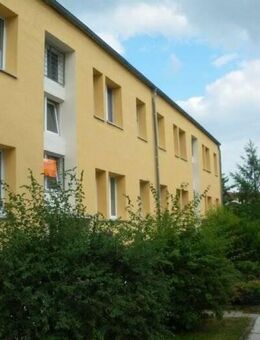 Weimar/ Legefeld, neu renovierte 2-Raumwohnung - Weimar