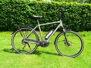 Bicycles Porto 10.5 Trapez - Trekking E-Bike Rahmenhöhe 55cm - Motor defekt - Sindelfingen