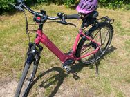 E Bike neuwertig - Meldorf