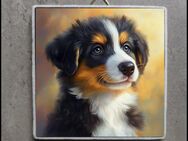 Australian Shepherd Welpe Bild, Australian Shepherd Welpe Foto, Australian Shepherd Welpe Deko - Bochum