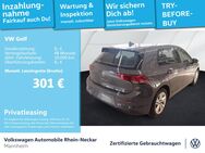 VW Golf, 2.0 TDI VIII Life, Jahr 2024 - Mannheim