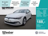 VW Golf, 2.0 TDI VIII Life, Jahr 2024 - Weil der Stadt