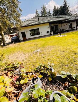Bungalow auf ein - 2.161 m² GST - unmittelbarer Nähe zu Prenzlau & Polen ! - Tantow