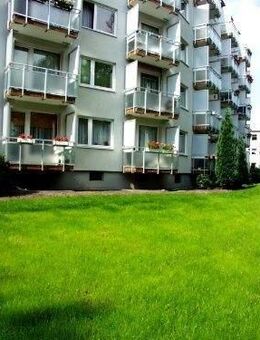 1 1/2 Zimmer Mietwohnung in Tornesch - zentrale Lage - - Tornesch