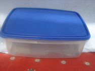 Dose Kunststoff gies 29 x 20 x 11cm. - Friedrichsdorf