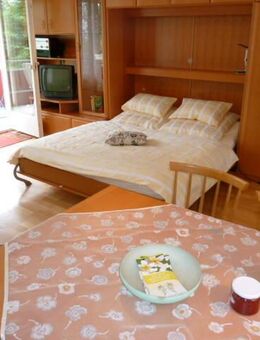 Winter in Langenargen, frei ab 29.11 bis 20. Mai 2026, 1 Person, See nah - Langenargen