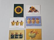 Anne Geddes 6x süsse Sammler Karten Postkarten Vintage 90er - Borken (Hessen)