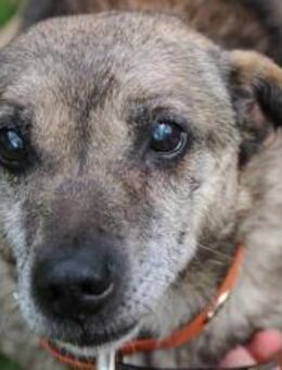 Teo ganz lieber Opi - Neuhausen (Spree)