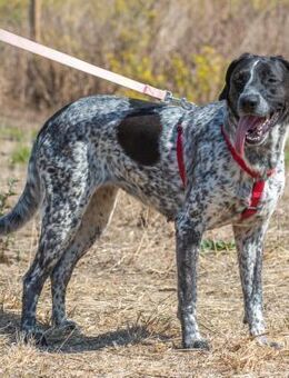 Lucille, ein feines Maedchen - Brunstorf