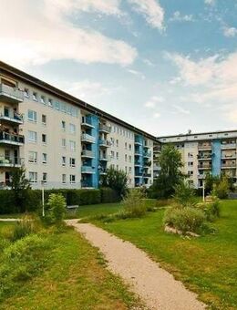 Heimeliges Nest sucht neue Bewohner/innen. - Erlangen