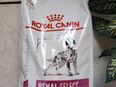 Royal canin renalselect in 52062