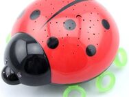 niermann LED Nachtlicht Beetlestar, LED fest integriert, Nachtlicht Beetlestar