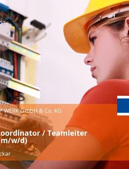 Montagekoordinator / Teamleiter Montage (m/w/d) - Sulz (Neckar)