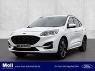 Ford Kuga, ST-Line Styling Fahrer Techno el Heckkl, Jahr 2023 - Aachen