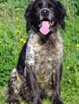 Xico ist ein feiner Kerl - Brunstorf