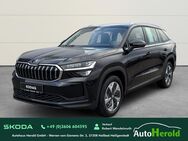 Skoda Kodiaq, 2.0 TDI Selection Standhei, Jahr 2024 - Heiligenstadt (Heilbad) Zentrum