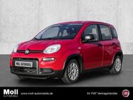 Fiat Panda, Mild Hybrid City Paket Passione Rot, Jahr 2024 - Euskirchen