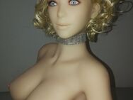 Echte WM-Doll 158 cm-D-Cup - WM-Doll-Kopf #326 - Jassy - VB 699,-- - Berlin