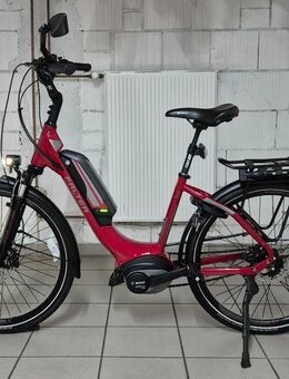 E-Bike FALTER E 9.5 26"Zoll Bosch Active Line Plus Motor 500Wh 13.4Ah 36V Bosch Akku.Sehr guter und Top gepflegter zustand. - Marl (Nordrhein-Westfalen)