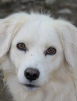 Wunderschöne, schüchterne Anca - Kallmünz