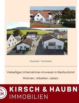Vielseitiges Unternehmer-Anwesen in Bestzustand! Wohnen. Arbeiten. Leben. Freystadt - Forchheim - Freystadt