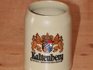 Kaltenberg Bierkrug Keramik Steinzeug Steingut 0,3 L neuwertig rastal - Borken