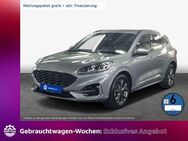 Ford Kuga 2.0 EcoBlue Aut. ST-LINE X - Hannover