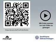 VW Golf, 1.4 TSI VIII Style eHybrid, Jahr 2022 - Weingarten (Baden)