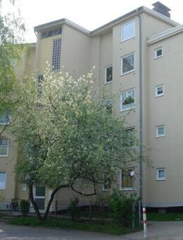 In 5 Minuten zu Fuß in die Aue! Schöne Wohnung für Paare oder die kleine Familie - Kassel