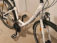 Fahrrad Campus TR 1 - Stuttgart