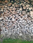 Brennholz Buche und Esche in 89420