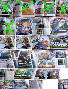 Karpfen Angel Zeitschriften 7 Stück Nr. 2 - Lichtenau (Nordrhein-Westfalen)