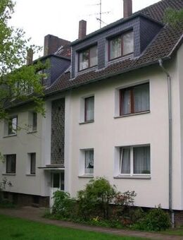 Sommer auf dem Balkon - Hildesheim