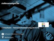 Consultant - Testautomatisierung (m/w/d) - Neckarsulm
