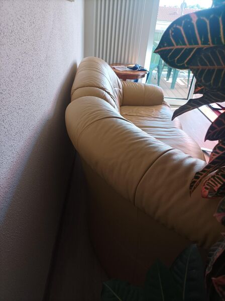 Echtledersofa zu verschenken - Poing