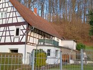 Großes Mehrfamilienanwesen mit Entwicklungspotential - Modautal