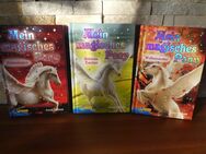 Buch, Bücher, Mein Magisches Pony Band 11, 12,14 - Garbsen