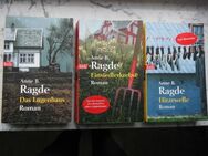 Anne B. Ragde 3 Bücher zusammen 7,- Das Lügenhaus + Einsiedlerkrebse + Hitzewelle. Norwegen Familiensaga Trilogie - Flensburg