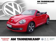 VW Beetle, 2.0 TDI Cabriolet &, Jahr 2014 - Varel