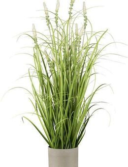 Kunstgras Grasbusch mit Salvienblüten, Creativ green, Höhe 75 cm, mit detailgetreuen Blüten und Grashalmen