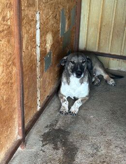 Mumpitz - mehr, als der Name verspricht - Overath